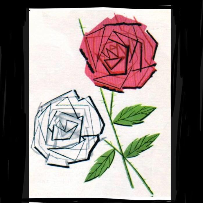 New Rose