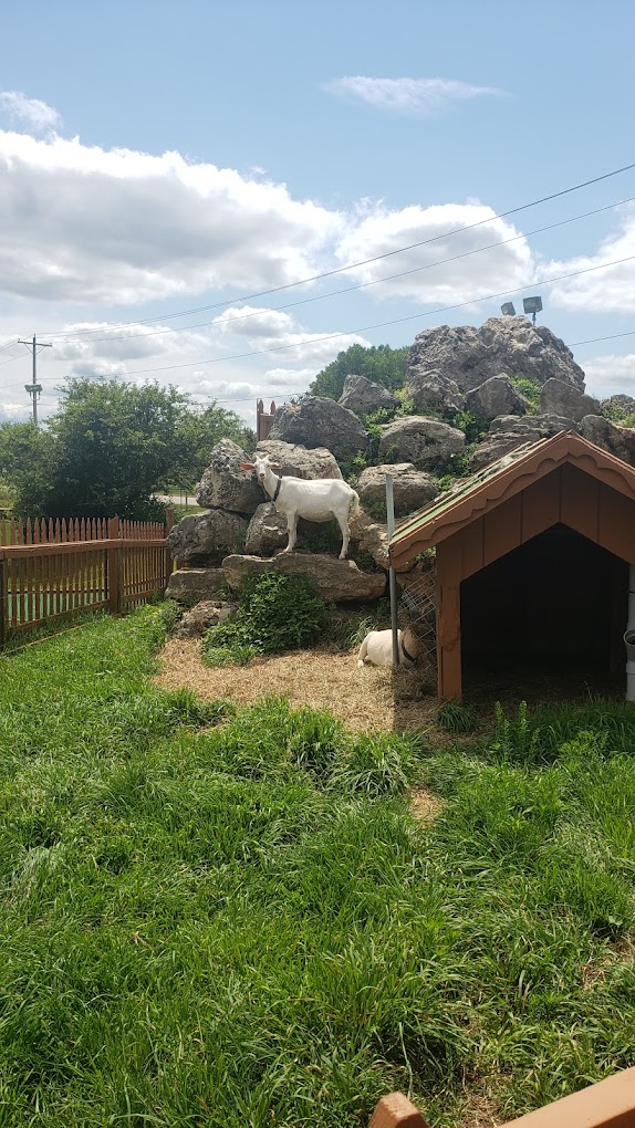 Swissland Miniature Golf